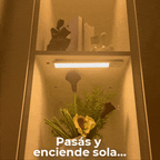 Luz Con Sensor De Movimiento Homezy